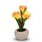 Lampe de chevet tulipe en céramique rose avec éclairage LED doux et doré